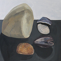 Rock and Mussels